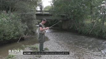 Les pêcheurs fribourgeois s&#039;inquiètent